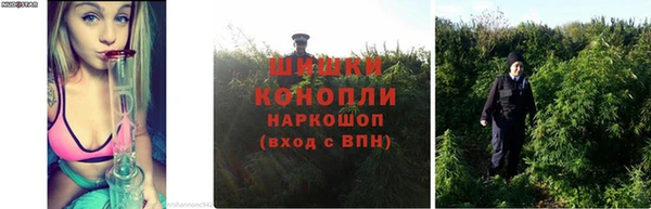 гидропоника Абинск