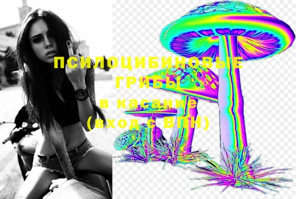 гашик Переславль-Залесский
